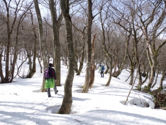 自然公園財団「大山の森で冬芽観察」2021.02.27